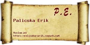 Palicska Erik névjegykártya